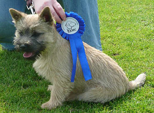 @ Dovile Grebliunienie and Vytautas Grebliunienas from Lithuania :) 